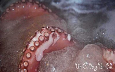 El Pulpo