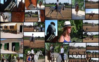 De celebración, familia y caballos