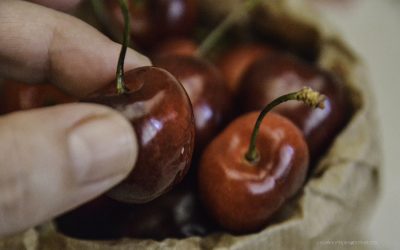 Tiempo de cerezas
