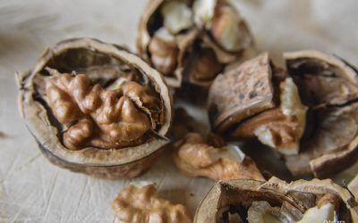 Nueces