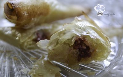 Samosa blanca