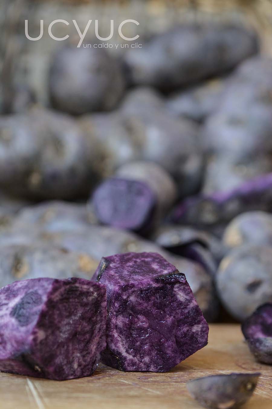 patatas violeta-0066